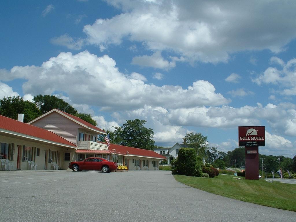 The Gull Motel, Belfast Esterno foto