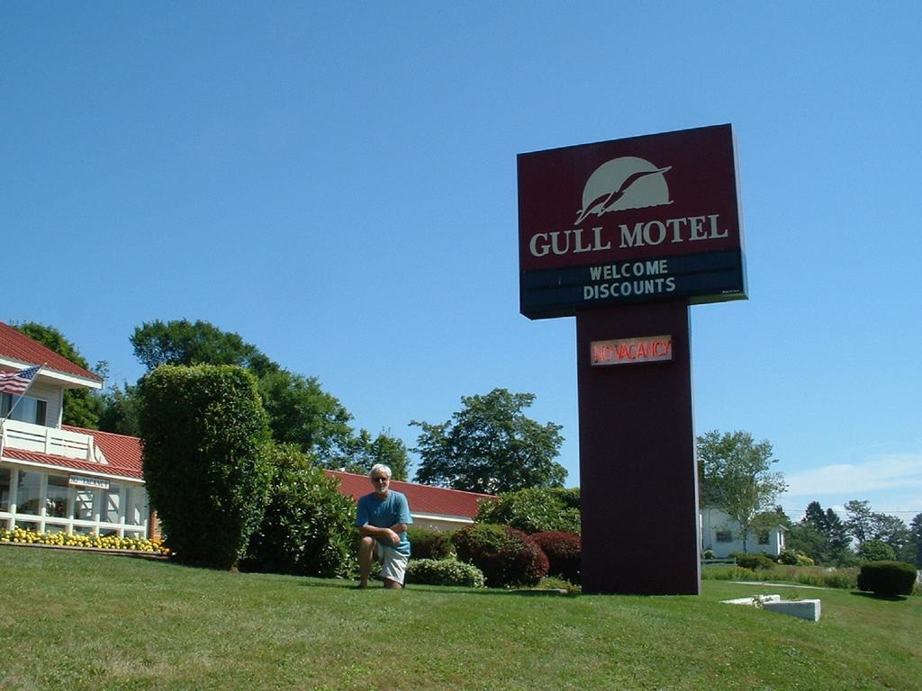 The Gull Motel, Belfast Esterno foto