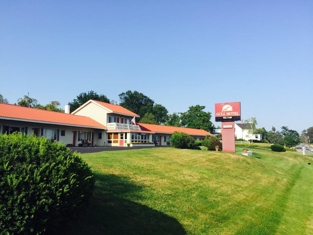 The Gull Motel, Belfast Esterno foto