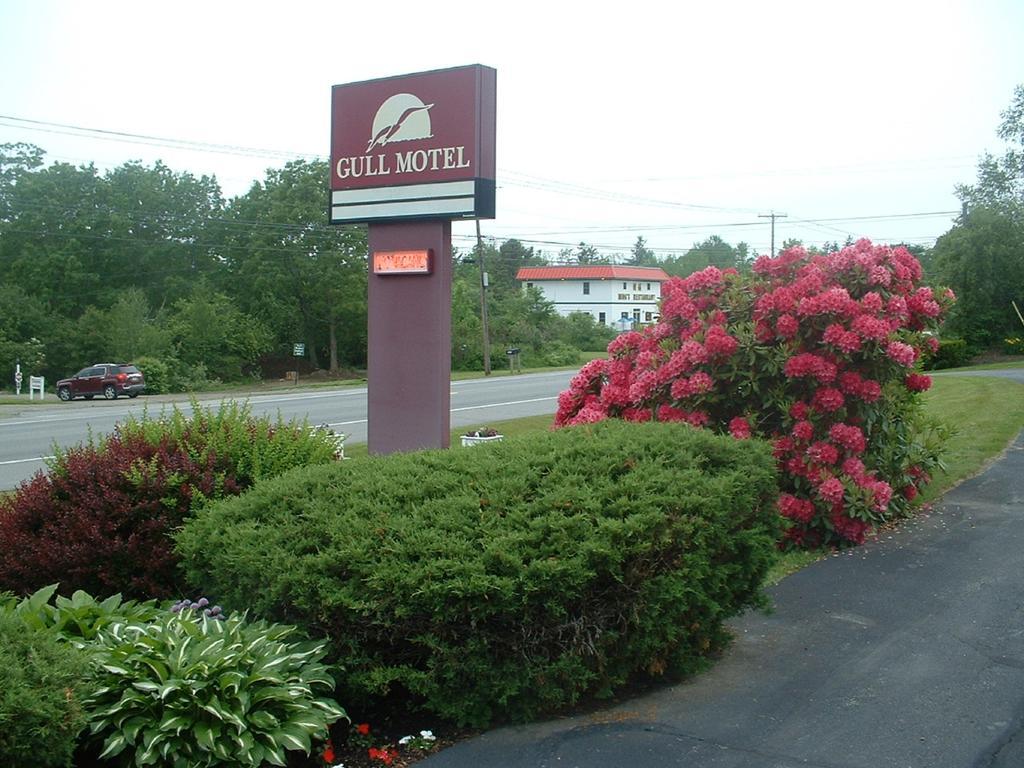 The Gull Motel, Belfast Esterno foto